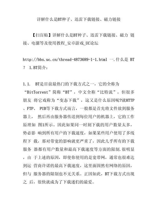 全面解析：寻找BT磁力种子神器的终极技巧